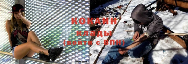 прущие крисы Няндома