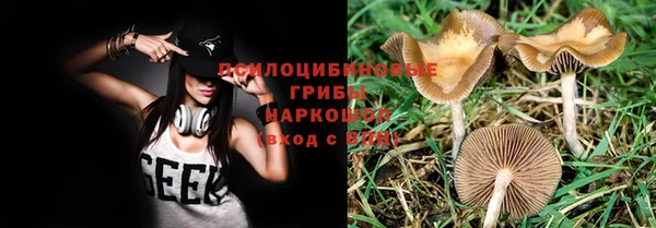 мяу мяу мука Алексеевка